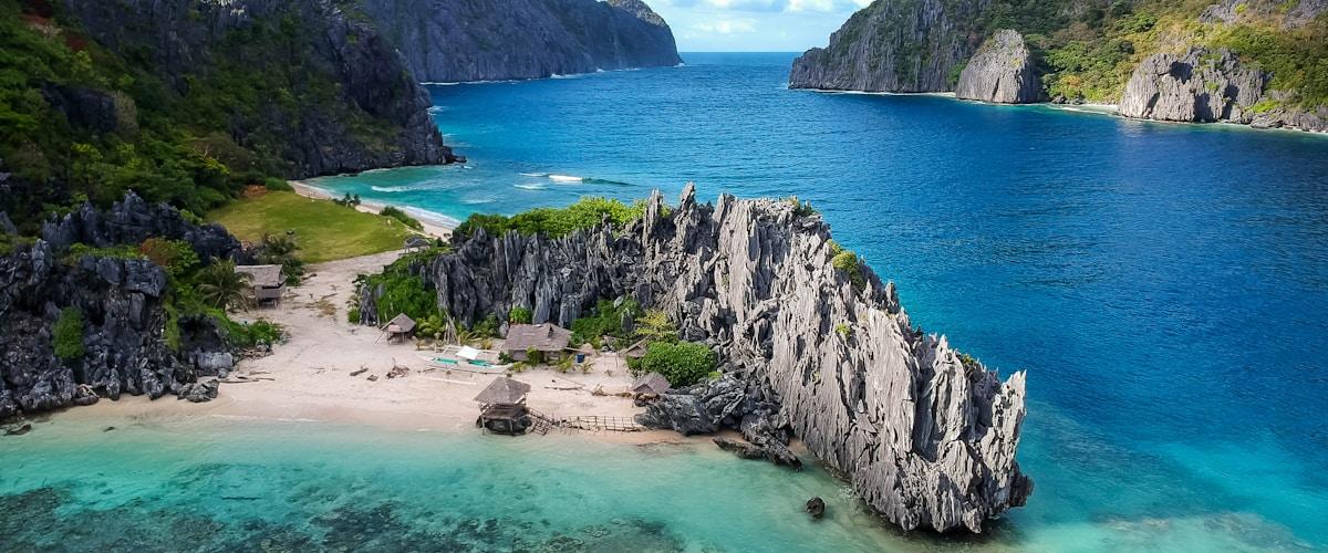 Pakistani professional planning emigration