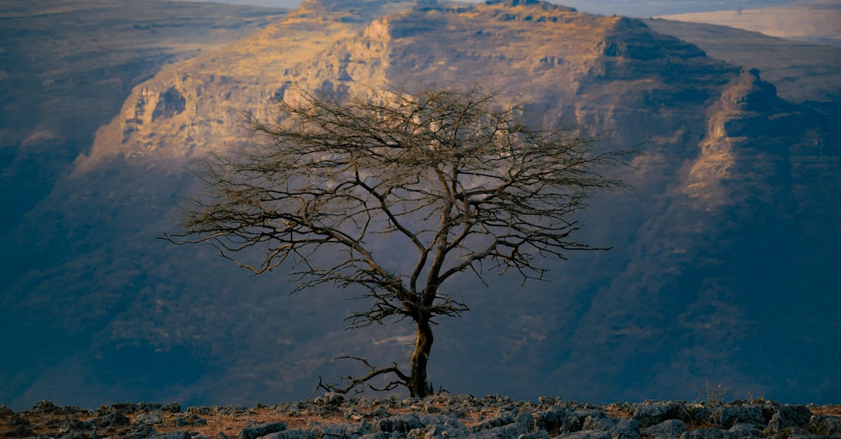 What are the best banking options in Ethiopia for expats?