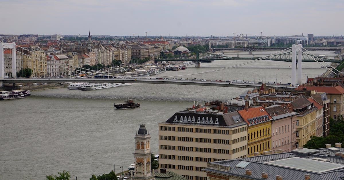 What are the best banking options in Hungary for expats?