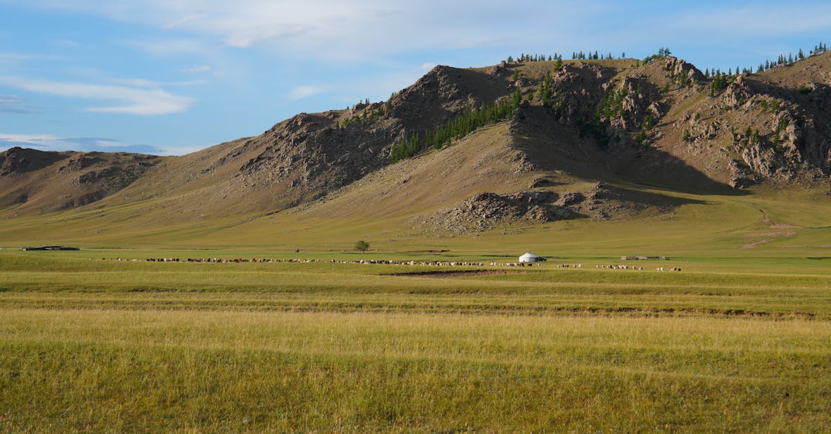 Banking in Mongolia for Expats (2026 Guide)