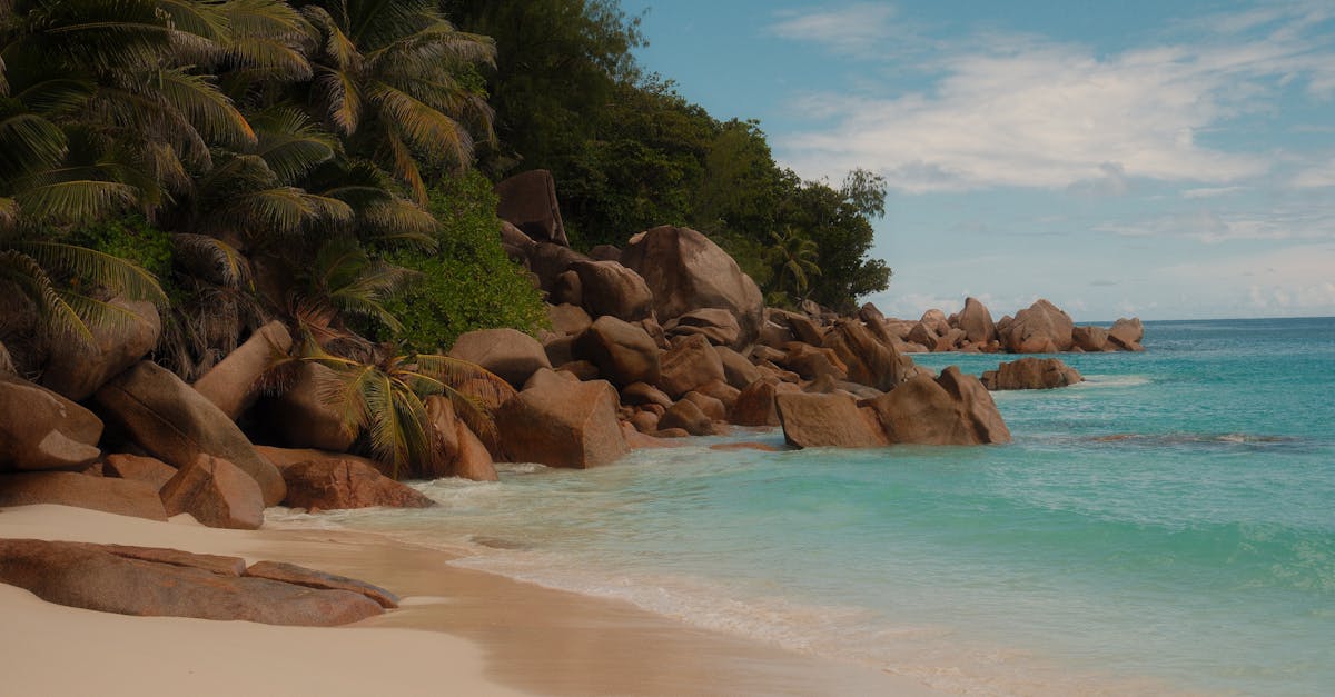 Banking in Seychelles for Expats (2026 Guide)