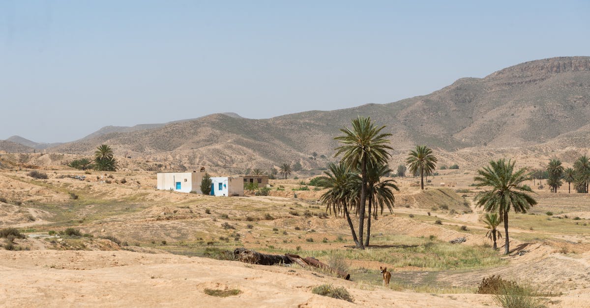 Tunisia banking for expats: accounts, transfers, and digital options