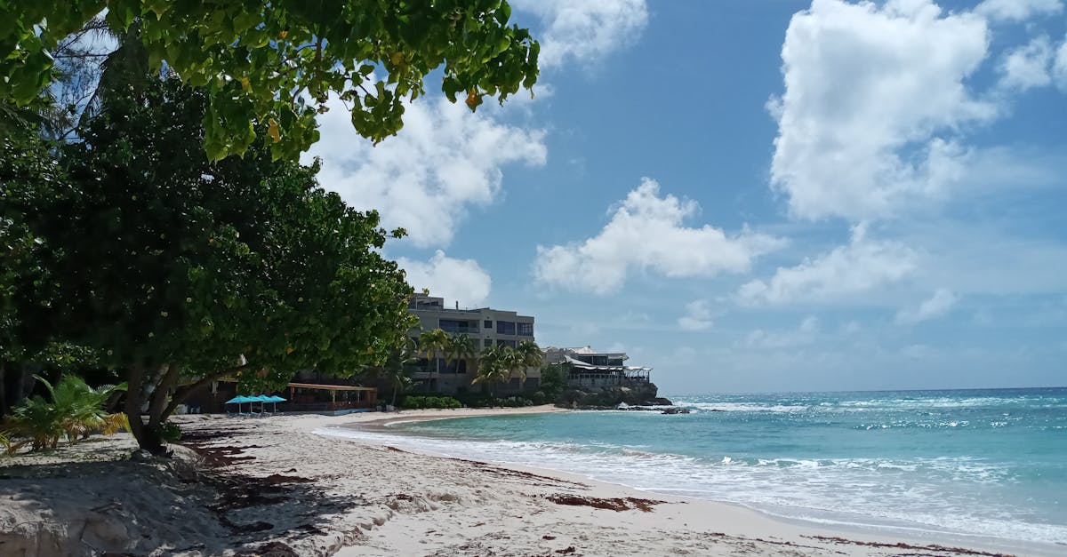 If you're planning to move to Barbados in 2026, here's what things cost