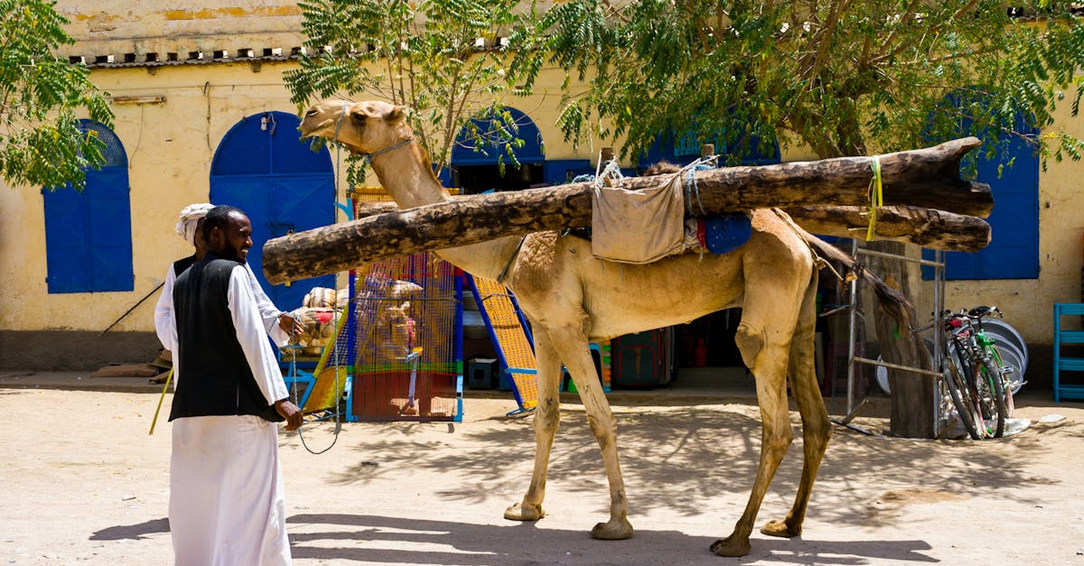 Eritrea cost of living: what expats actually spend