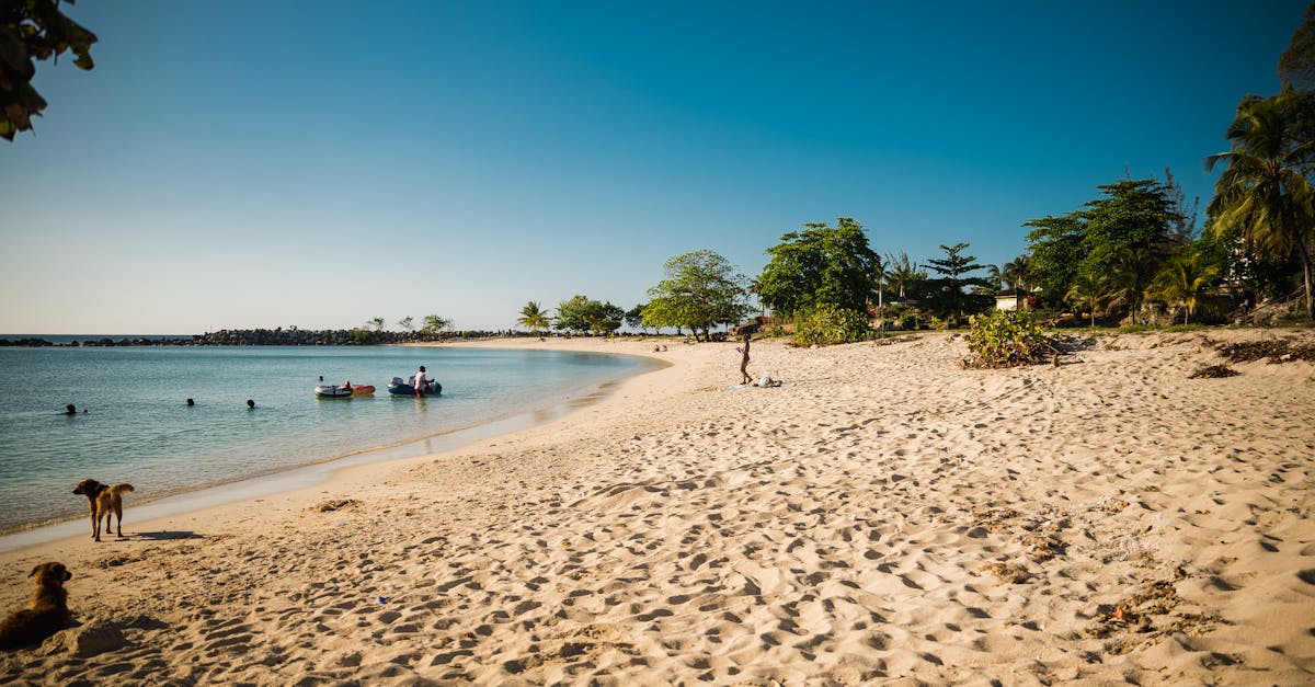If you're planning to work remotely from Jamaica in 2026, read this first