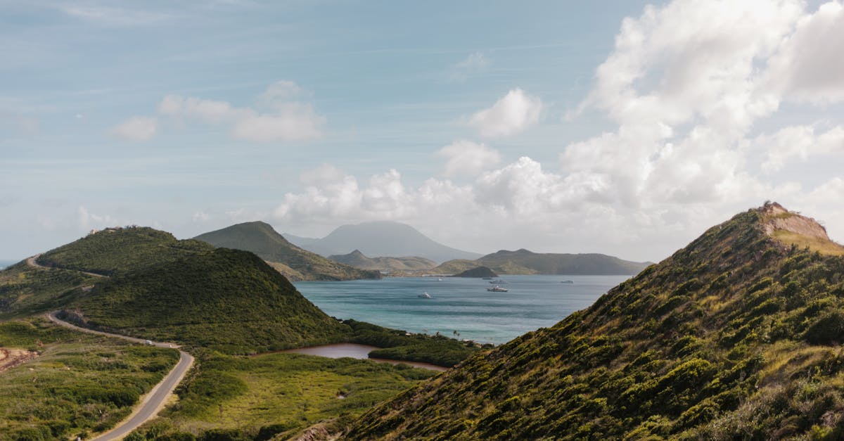 Can you work remotely from Saint Kitts and Nevis?