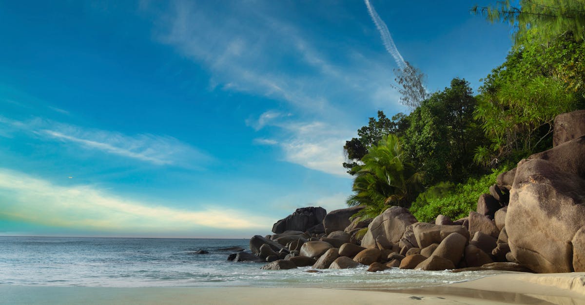 If you're planning to work remotely from Seychelles in 2026, read this first