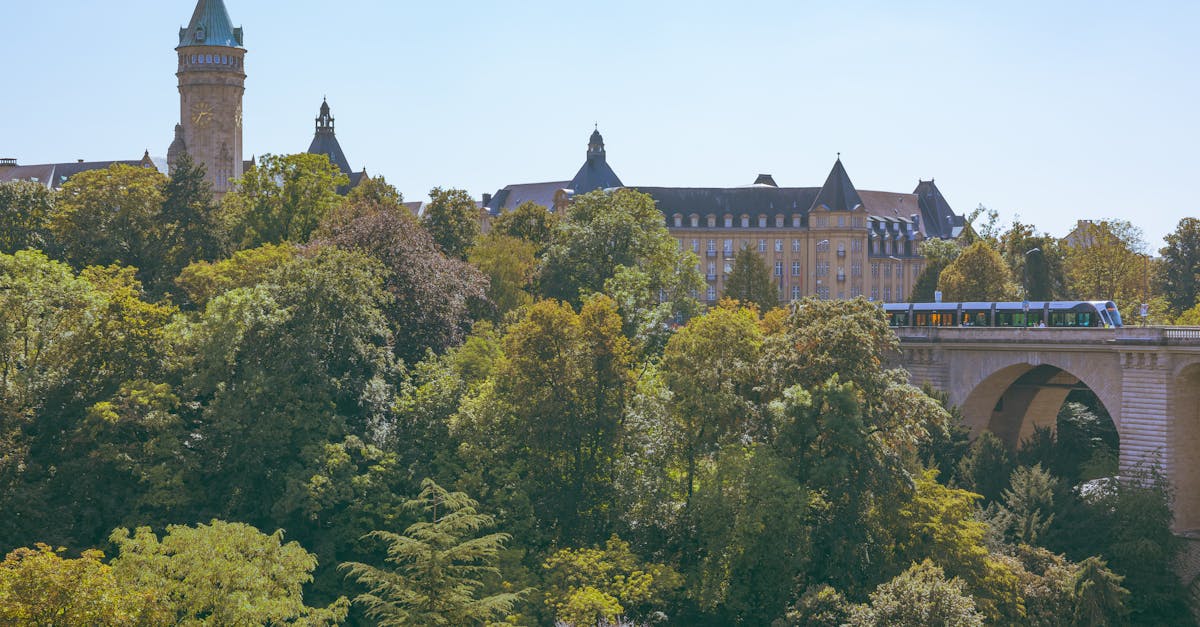 If you're moving to Luxembourg, here's how healthcare works