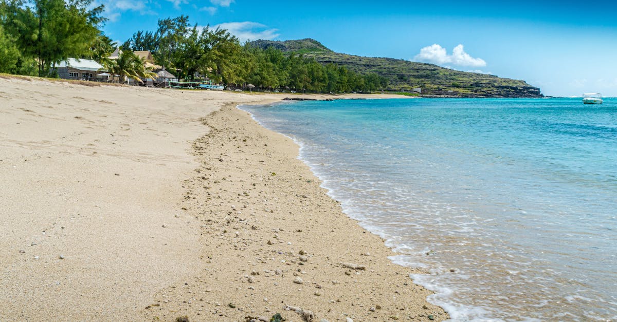 What healthcare do expats get in Mauritius?