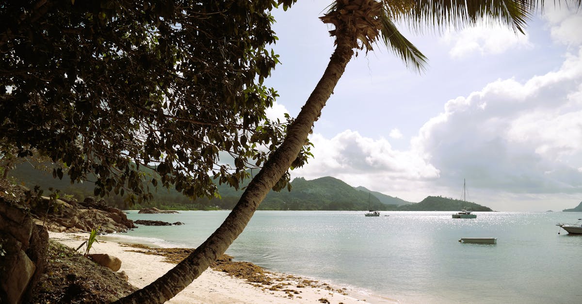 What healthcare do expats get in Seychelles?