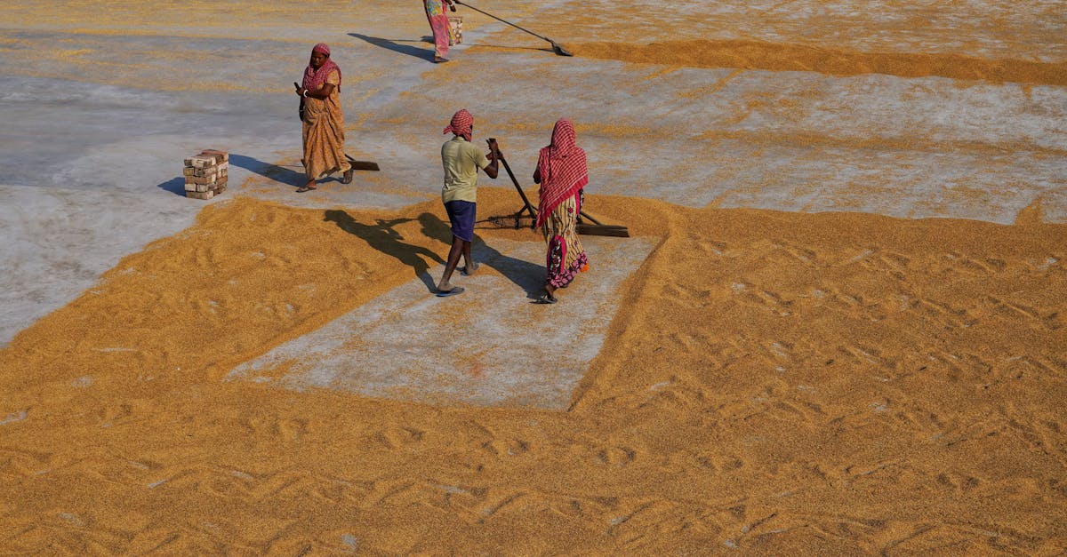 Migrant Workers in the Middle East