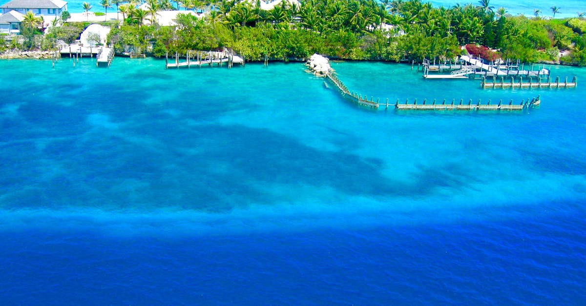 How to navigate Bahamas's tax system as an expat