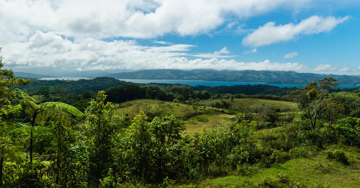 If you're moving to Costa Rica, here's how taxes work