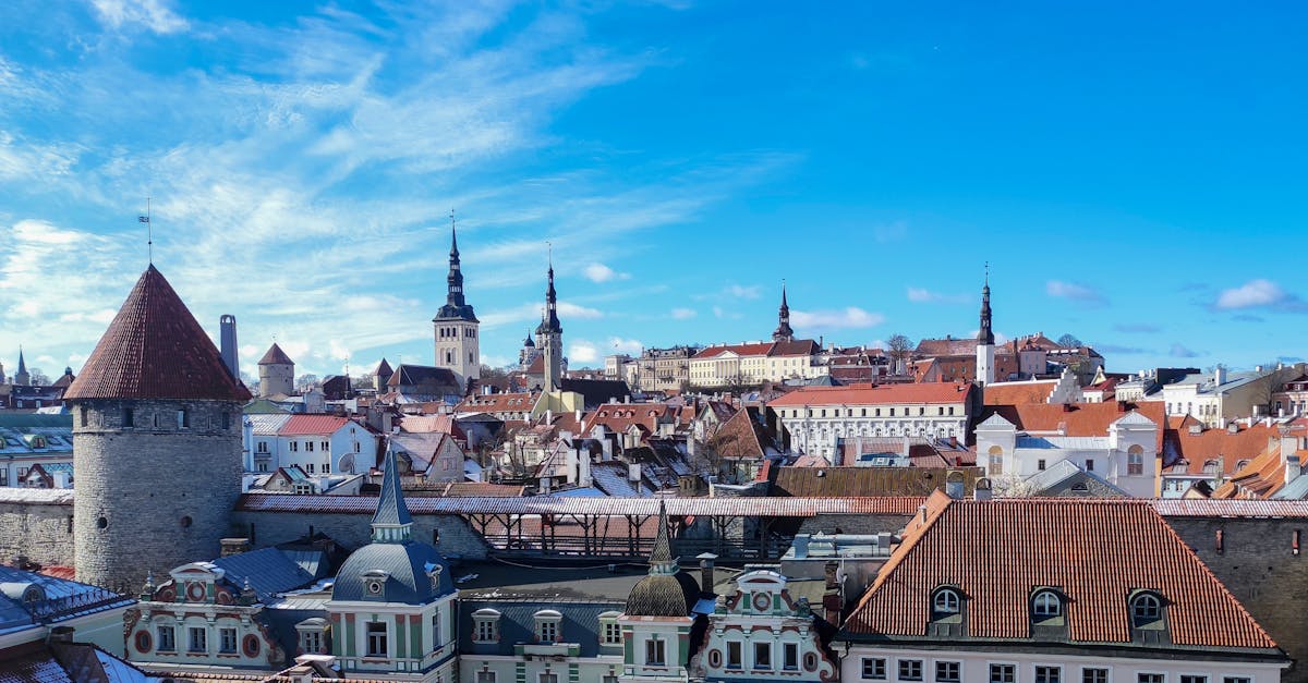 If you're moving to Estonia, here's how taxes work