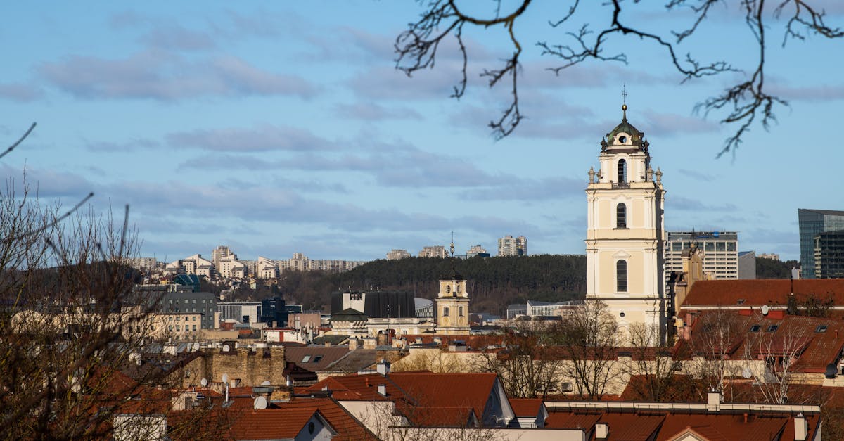 Tax System in Lithuania for Expats (2026 Guide)