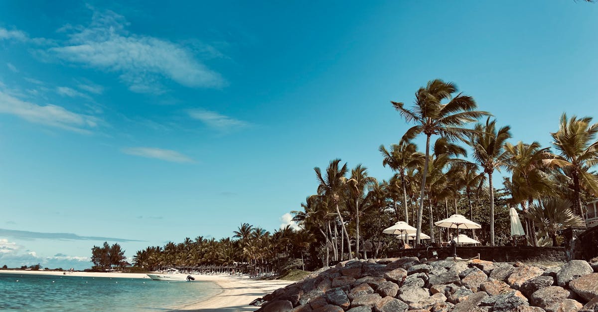 What taxes do expats pay in Mauritius?