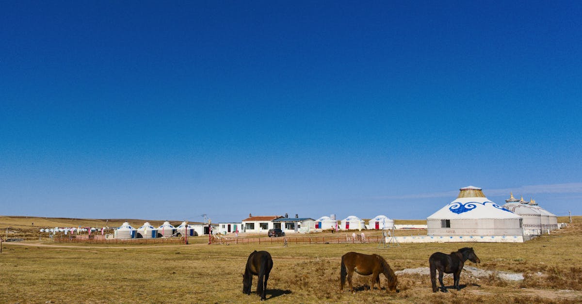 Tax System in Mongolia for Expats (2026 Guide)