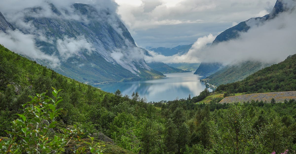 If you're moving to Norway, here's how taxes work