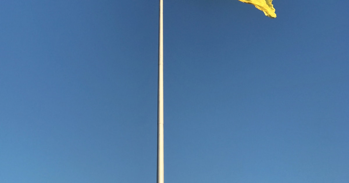 Ukrainian refugees reviewing residence permit documents at a European immigration office